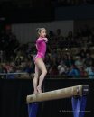 American Cup 2013