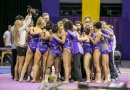 NCAA Conference Championships 2013