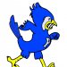 Bluejay Bob