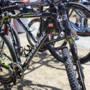 Sea Otter Day 1 Photos