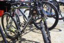 Sea Otter Day 1 Photos