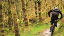 2013 Trek Gravity Enduro Ireland