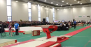 Stefanie Merkle - Vault Qualification - 2013 Canadian Gymnastics Championships
