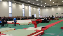 Ellie Black - Vault Qualification - 2013 Canadian Gymnastics Championships
