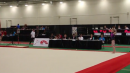 Stefanie Merkle - Floor AA - 2013 Canadian Gymnastics Championships