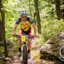 TSE: Stage 2 Photos