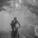 TSE: Stage 3 Photos