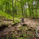 TSE: Stage 4 Photos