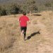 Ben Moreau Blog: Training, Wombats, and Policy Frustrations