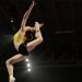 Challenges for the Pro Gymnastics Challenge